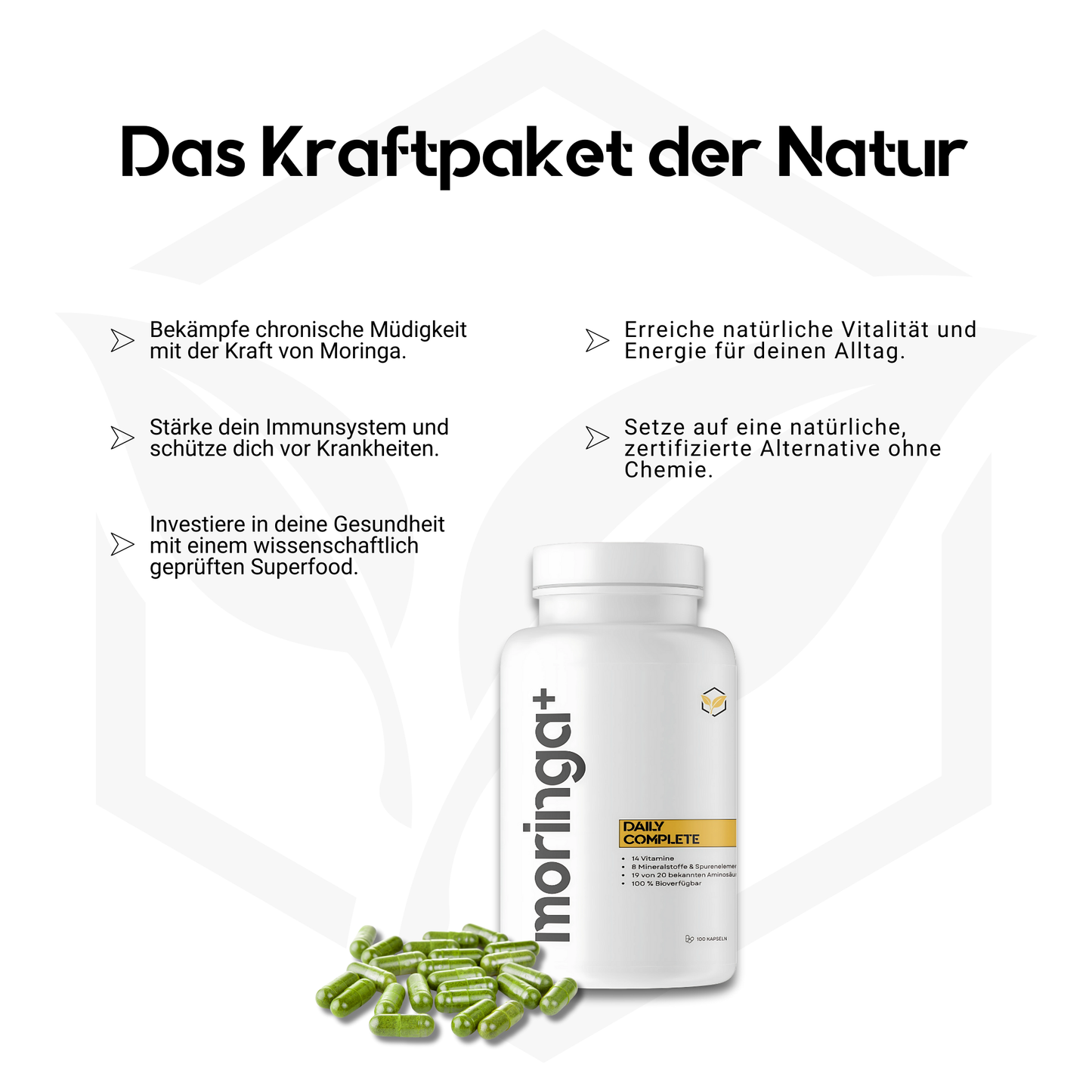 1-Monats-Paket Moringa Kapseln 2 Dosen